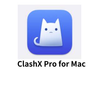 ClashX Pro官网下载ClashX Pro官方下载Clash苹果电脑最新翻墙软件下载MacBook VPN梯子加速器下载