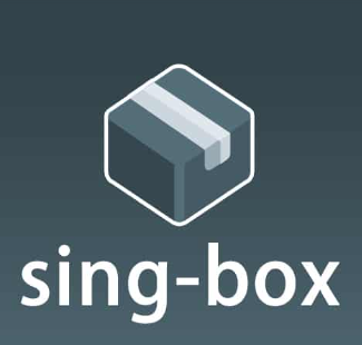 Sing-Box使用教程，苹果iPhone好用的翻墙软件梯子VPN，加速器